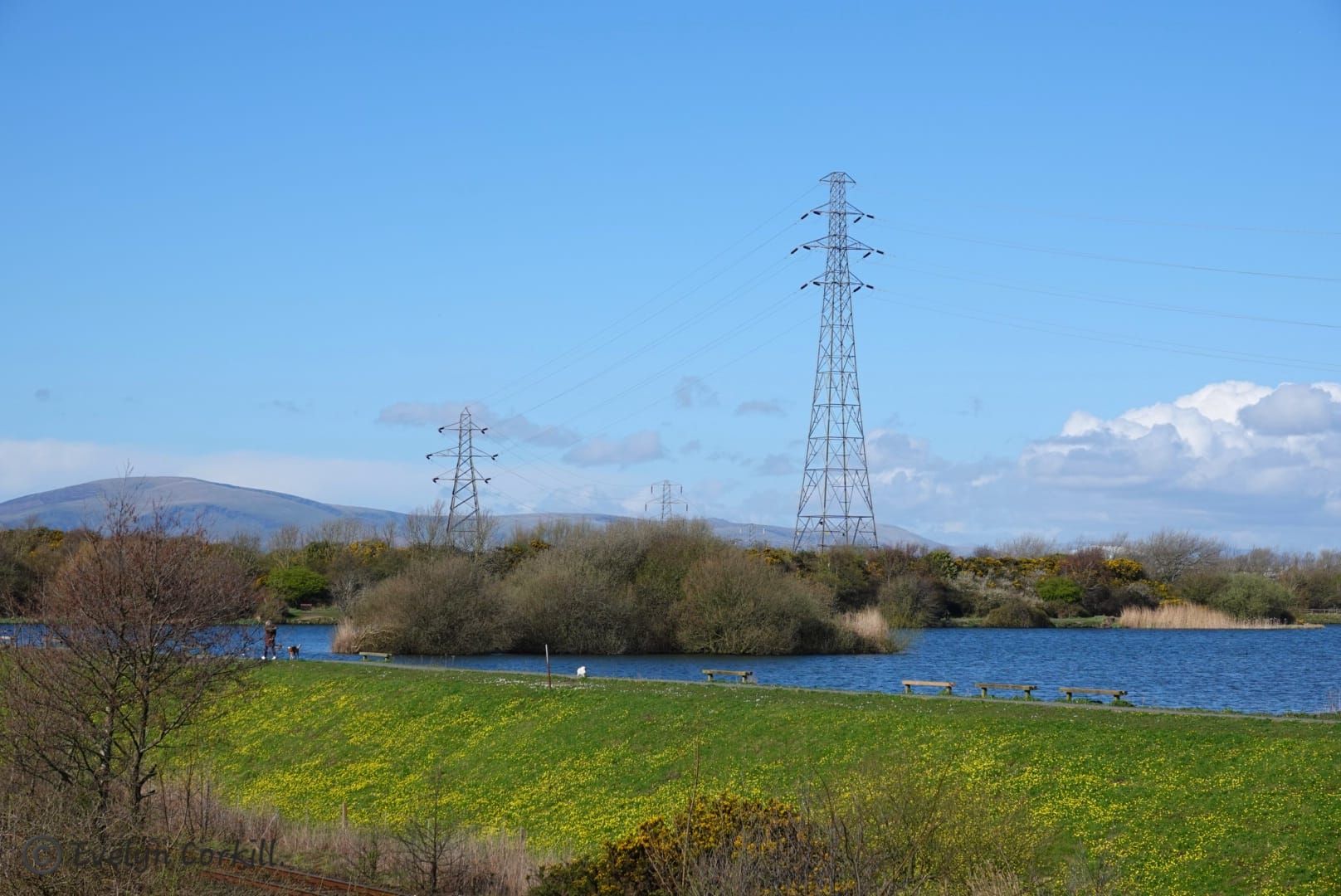 Sunny view over reservoir